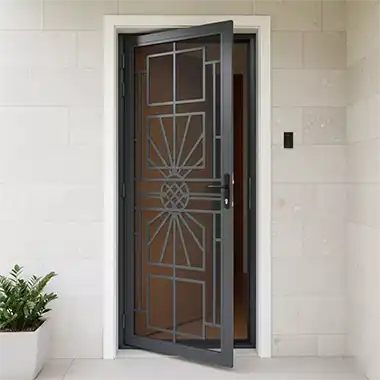 Mesh Door with Grill