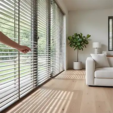 Window Blinds